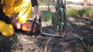 Best Lawn Grading and Leveling  in Bonneau Beach, SC